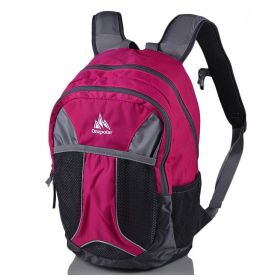 Детский рюкзак ONEPOLAR (ВАНПОЛАР) W1513-pink